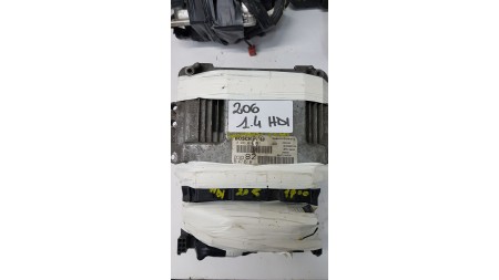Kit centralina Peugeot 206 1.4 hdi